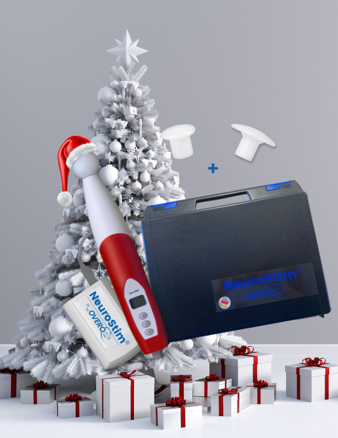 <span class="brand"><strong>NeuroStim<sup>®</sup></strong></span> M21 <br/> <small> rot </small>