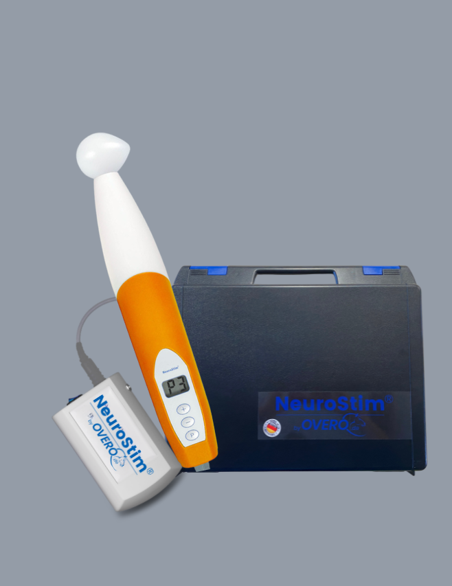 <span class="brand"><strong>NeuroStim<sup>®</sup></strong></span> M21<br/> <small>orange </small>