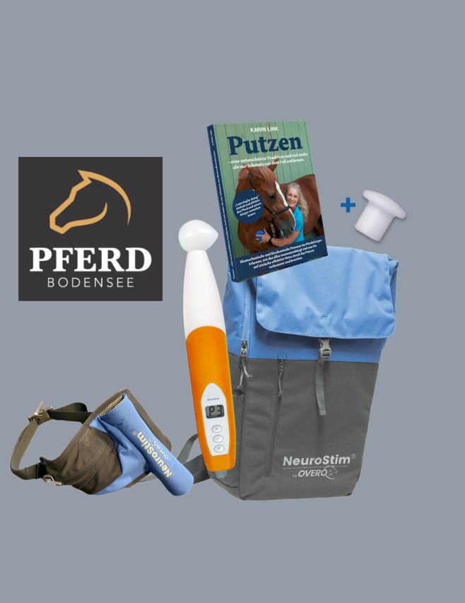 <span class="brand"><strong>NeuroStim<sup>®</sup></strong>PRO</span><br/> <small> orange </small>